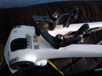 IMG_20180827_174831.jpg