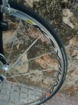 IMG_20180827_173534.jpeg