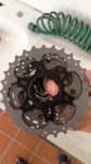 IMG_20180828_175449.jpg