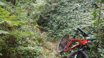 20180829_195125.jpg