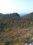 IMG-20180901-WA0015.jpg