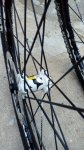 IMG-20180902-WA0011.jpg