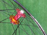 IMG-20180904-WA0003.jpg