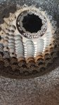 240_1361x2419.jpeg