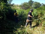 IMG-20180902-WA0004.jpg