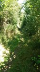 IMG-20180902-WA0003.jpg