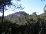 PICT0036 (Medium).JPG