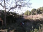 PICT0069 (Medium).JPG