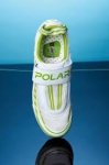 polaris.jpg