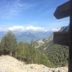 IMG_0943.jpg