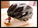 CASCO SCOHIRO 3.jpg