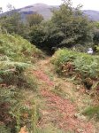 IMG-20180912-WA0025.jpg