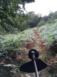 IMG-20180912-WA0026.jpg