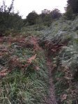 IMG-20180912-WA0023.jpg