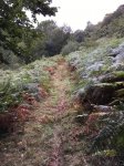 IMG-20180912-WA0024.jpg