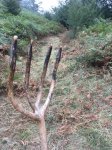 IMG-20180912-WA0021.jpg
