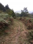 IMG-20180912-WA0022.jpg