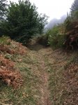 IMG-20180912-WA0020.jpg