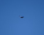 IMG-20180223-WA0015.jpg