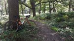 20180915_135859.jpg
