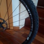 20180916_083025.jpg