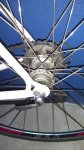 IMG_20180919_213504906.jpg