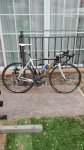 IMG-20180919-WA0013.jpg