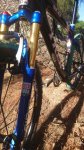 IMG-20180922-WA0034.jpg