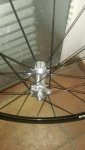 IMAG0576.jpg