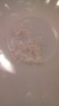 IMG-20180922-WA0006.jpg