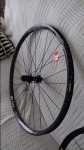 20180913_121930.jpg