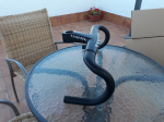 20180725_202958.png