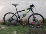 BICI1_opt.jpg