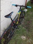 BICI2_opt.jpg