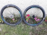 BICI3_opt.jpg