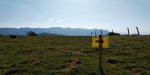 IMG-20180927-WA0012.jpeg