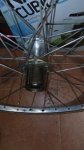 IMG_20180925_201350.jpg