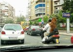 paseando-mascotas-6.jpg