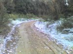 18-11-07_1321.jpg
