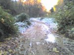 18-11-07_1320.jpg