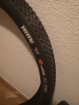 maxxis.jpg