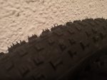 schwalbe2.jpg