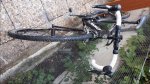 20180820_093300.jpg