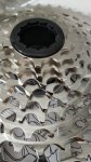 IMG-20180819-WA0025.jpg