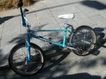 DSCF5183.JPG