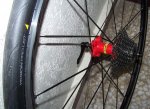 100_2977.JPG