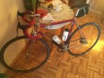 IMG-20181017-WA0002.jpg