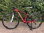 bici4.jpg