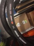 IMG_20181018_204213.jpg