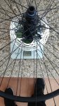 IMG_20181026_123139.jpg